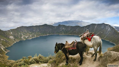 Si en el mundo rural de Ecuador escasean los bancos, la penetración del móvil es prácticamente de un 100%. Por eso su sistema se gestiona con celulares.