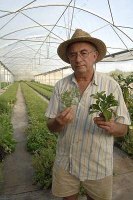 Josep Pàmies en su huerto de Balaguer enseñando algunas de las polémicas plantas medicinales que cultiva./Santi Iglesias.