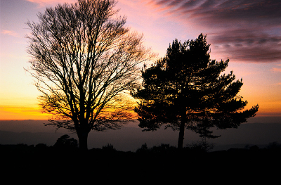 Posta de Sol al Montseny. Posta de Sol al Montseny.