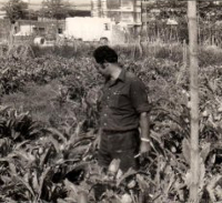 Sant Boi de Llobregat. Finca Torres, 1977. Foto: Francesc Fàbregas.