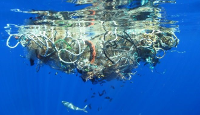 Residuos plásticos flotando en el mar.